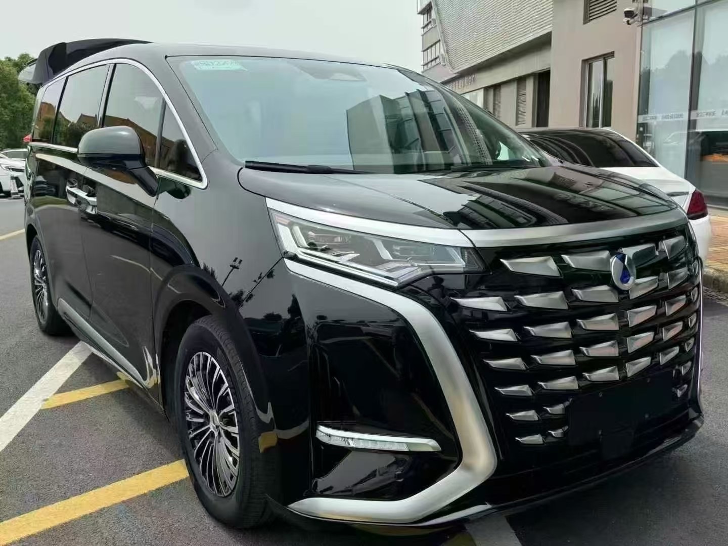 腾势D9 2024款 0.0T 自动 600尊贵型价格0万 