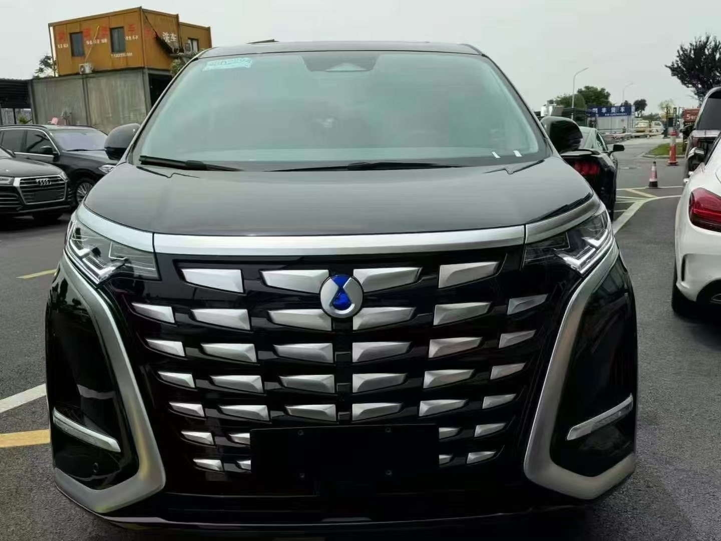 腾势D9 2024款 0.0T 自动 600尊贵型价格0万 