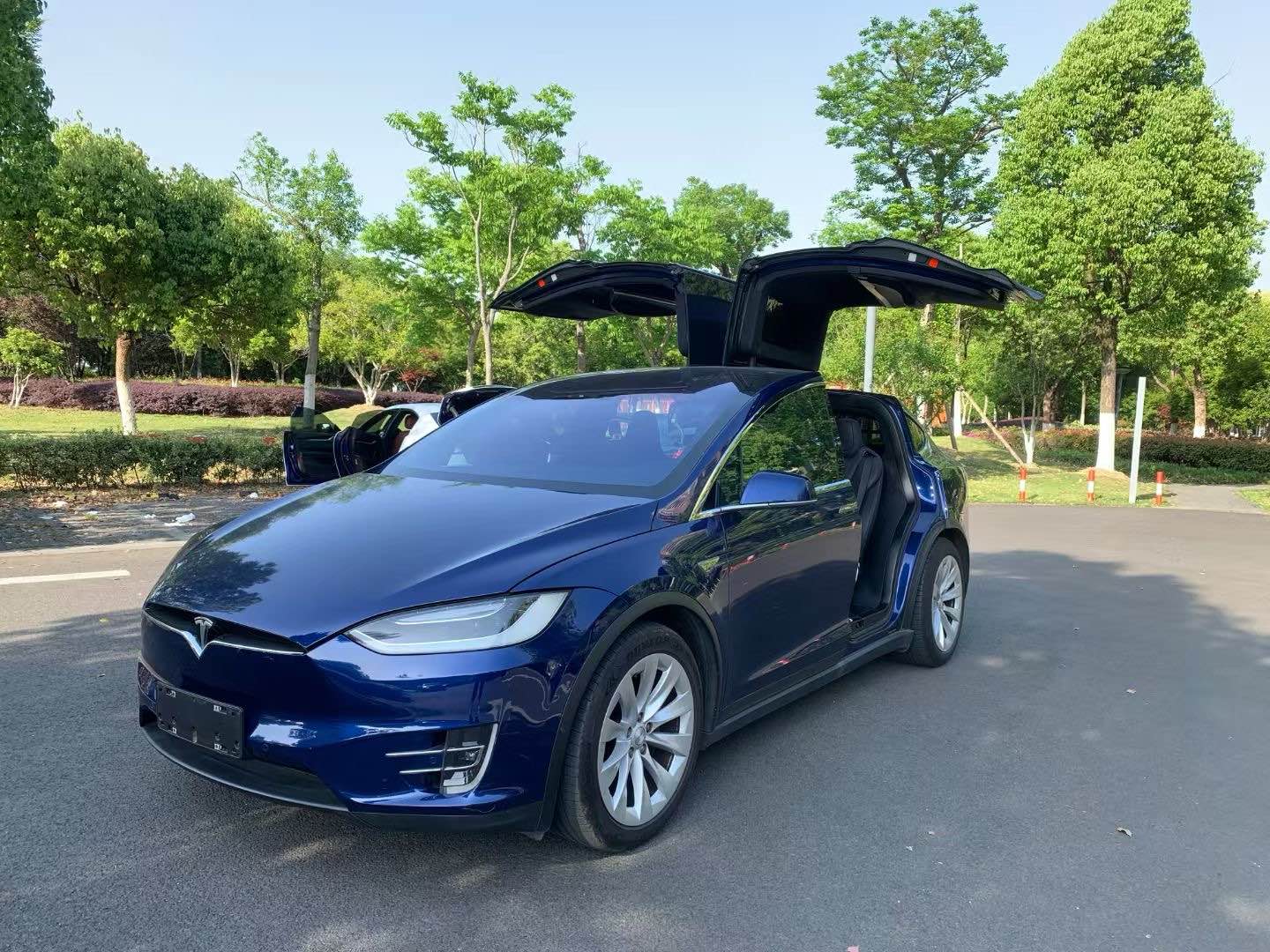 特斯拉MODEL X [进口] 2016款 自动 90D 纯电动价格0万