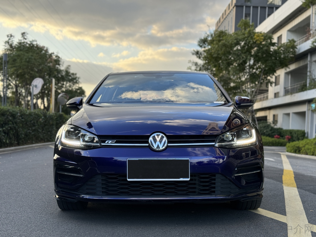 大众高尔夫 2020款 1.4T 自动 汽油 280TSI R二手车 二手Line 价格0万 