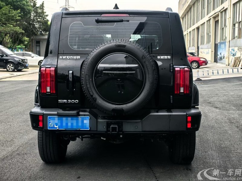 坦克坦克300 2024款 2.0T 自动 穿越者 (国Ⅵ) 