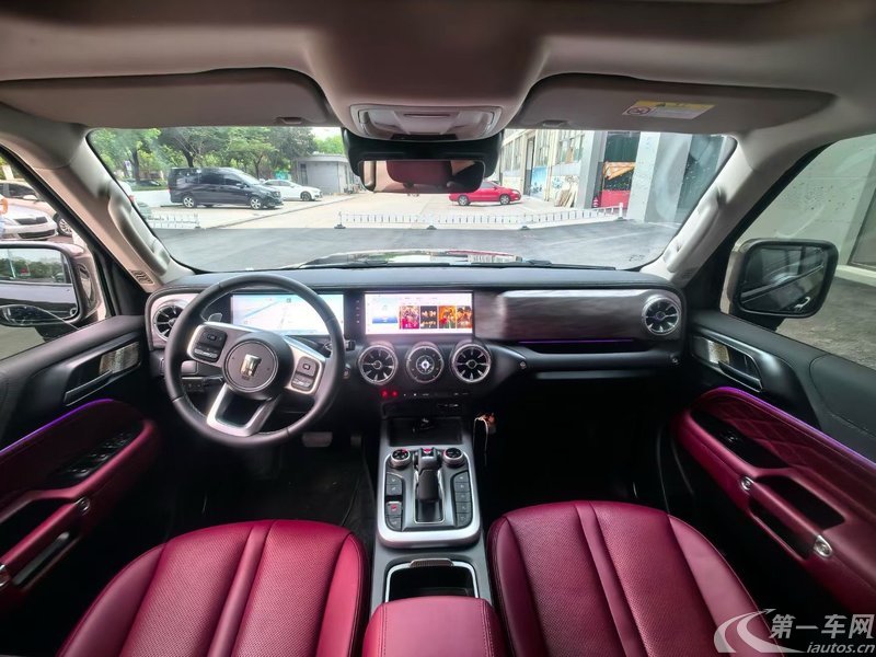 坦克坦克300 2024款 2.0T 自动 穿越者 (国Ⅵ) 