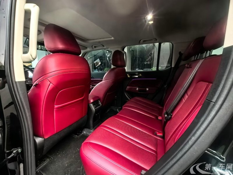 坦克坦克300 2024款 2.0T 自动 穿越者 (国Ⅵ) 