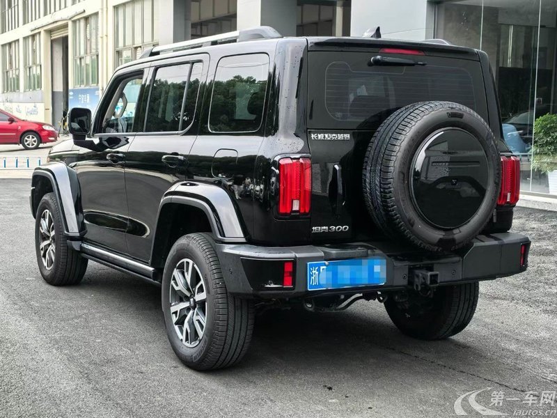 坦克坦克300 2024款 2.0T 自动 穿越者 (国Ⅵ) 