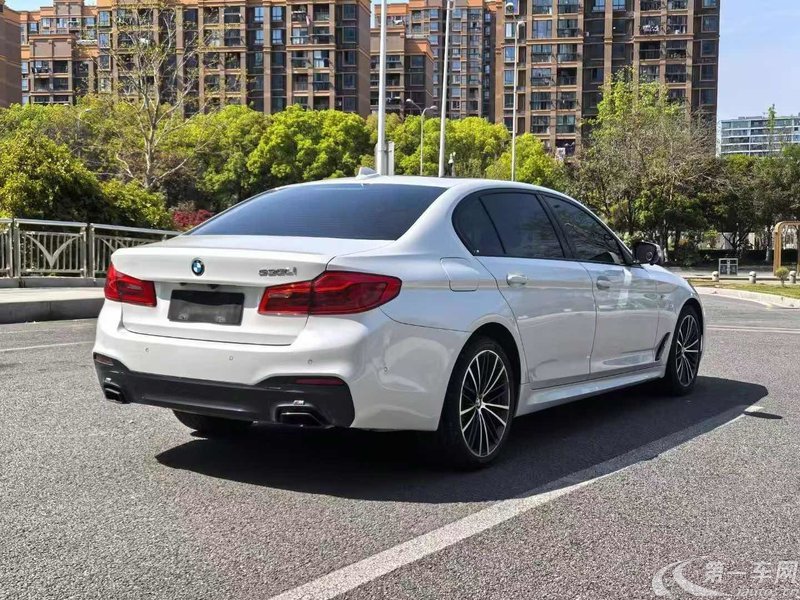 宝马5系 530Li 2019款 2.0T 自动 汽油 xDrive-M运动套装 (国Ⅵ) 