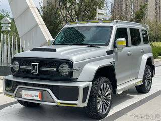 坦克坦克300 2.0T 自动 边境限定版 