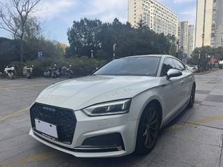 A5掀背 45TFSI 2.0T 自动 运动型 