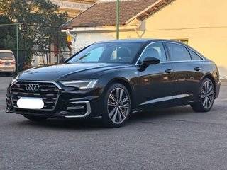 A6L 45TFSI 2.0T 臻选致雅型 