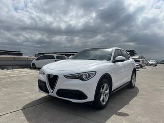 阿尔法罗密欧Stelvio 2.0T 自动 豪华版 