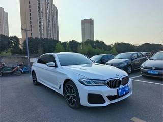 宝马5系 530Li 2.0T 自动 尊享型M运动套装 