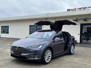 MODEL X 100D 