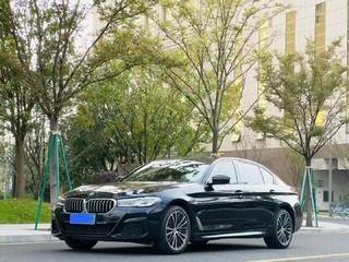 宝马5系 530Li 2.0T 自动 M运动套装 