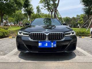 宝马5系 530Li 2.0T 自动 尊享型M运动套装 