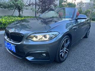 宝马2系敞篷 225i 2.0T 自动 尊享型M运动套装 