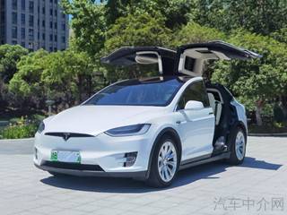 特斯拉MODEL X 自动 100D 