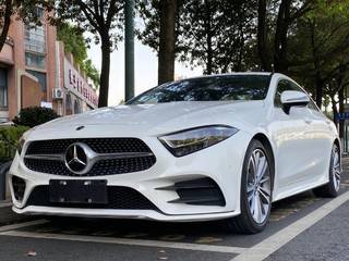 奔驰CLS级 CLS300 