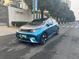 比亚迪海豚 0.0T 