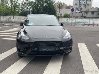 特斯拉MODEL Y 0.0T 