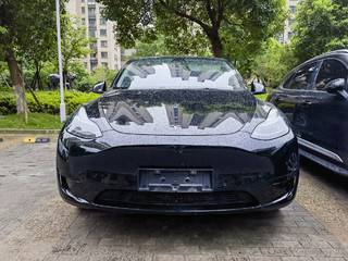 特斯拉MODEL Y 0.0T 自动 长续航全轮驱动版 