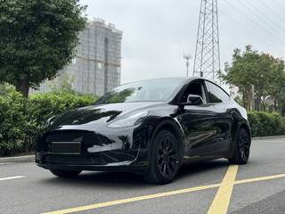 特斯拉MODEL Y 0.0T 自动 后轮驱动版 