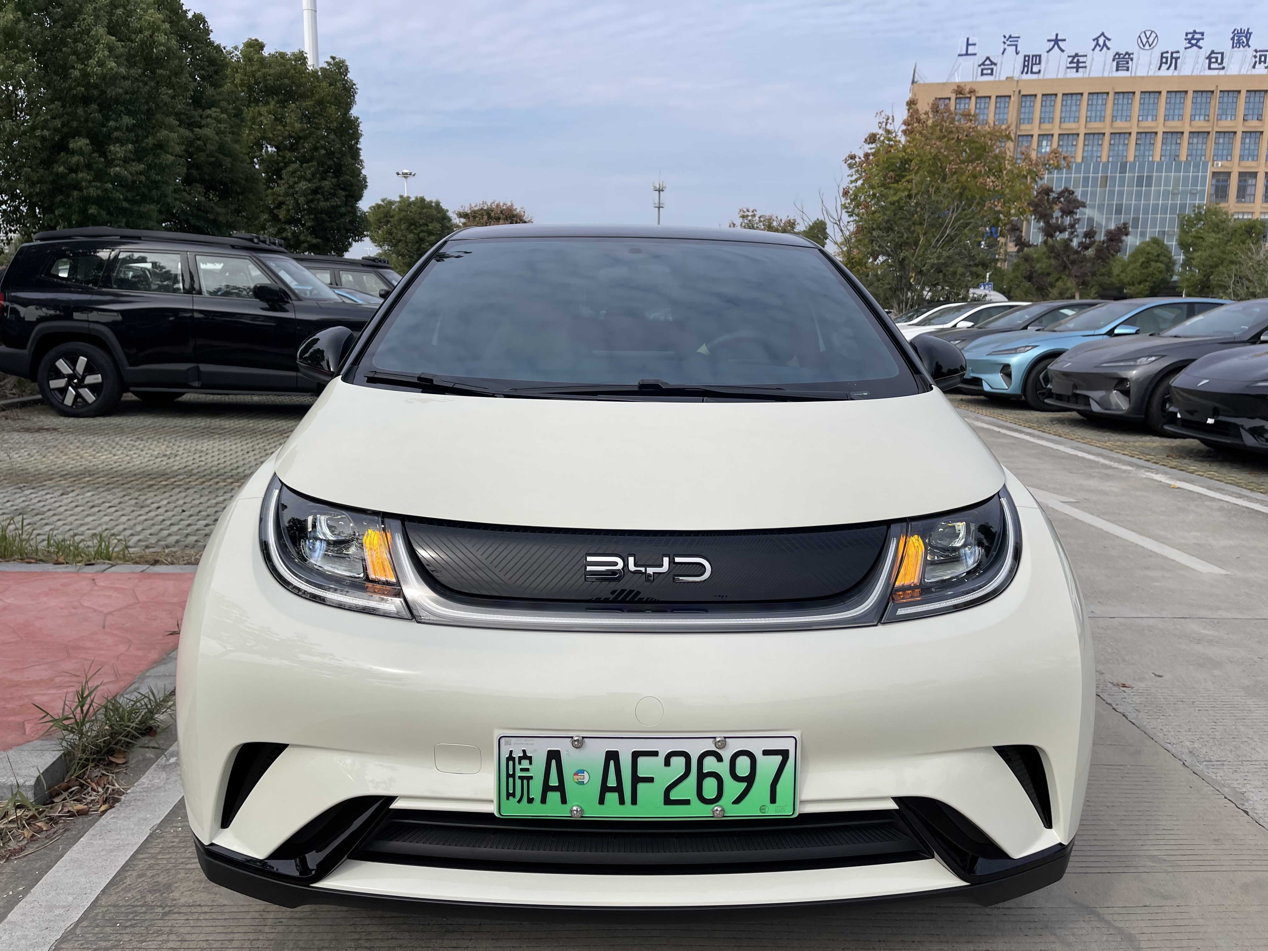 比亚迪海豚 2025款 0.0T 自动 420km活力版价格0万 