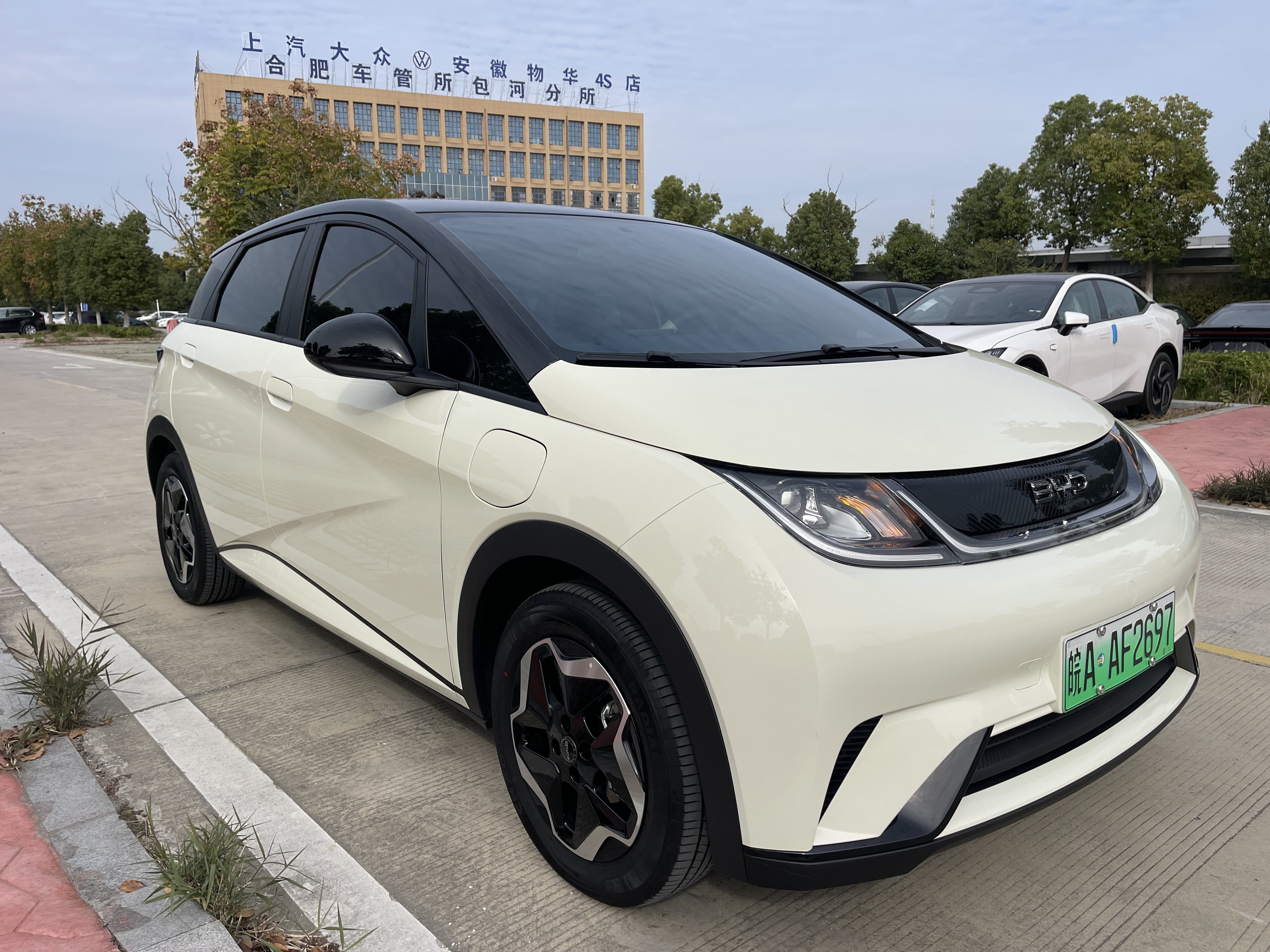 比亚迪海豚 2025款 0.0T 自动 420km活力版价格0万 