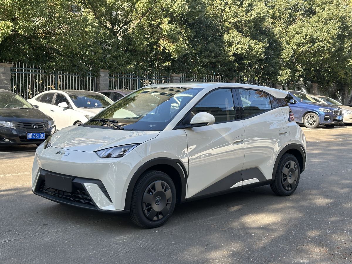 比亚迪海鸥 2025款 0.0T 自动 305km活力版价格0万