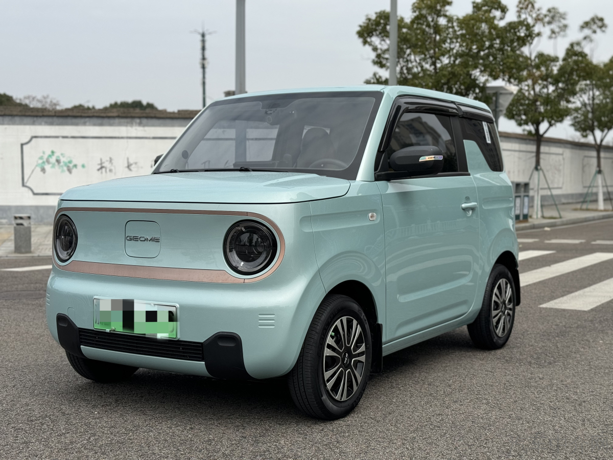 吉利熊猫mini 2023款 0.0T 自动 200km灵动熊价格0万