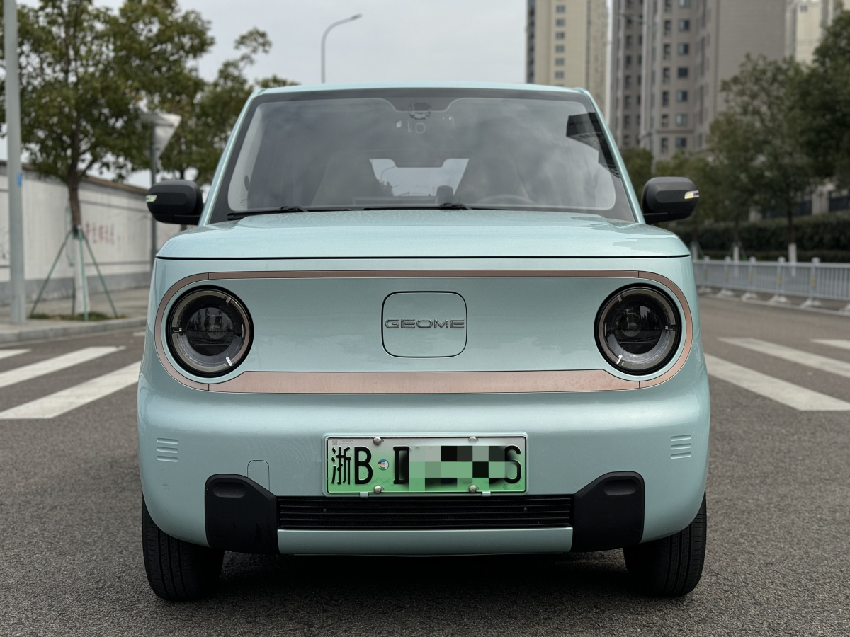 吉利熊猫mini 2023款 0.0T 自动 200km灵动熊价格0万 