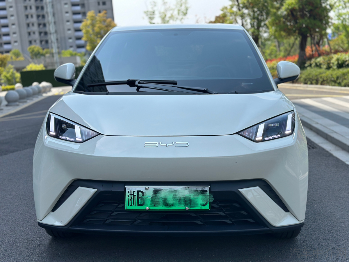 比亚迪海鸥 荣耀版 2024款 0.0T 自动 405km飞翔版价格0万 