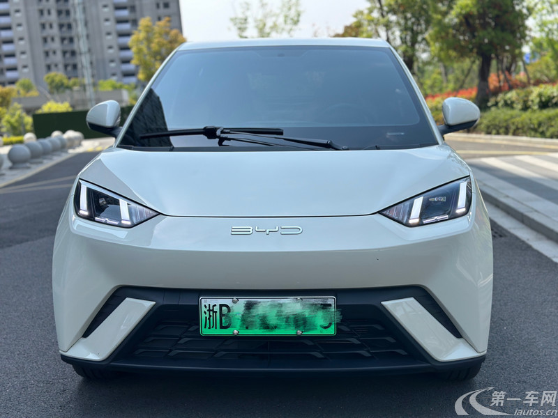 比亚迪海鸥 荣耀版 2024款 0.0T 自动 405km飞翔版 