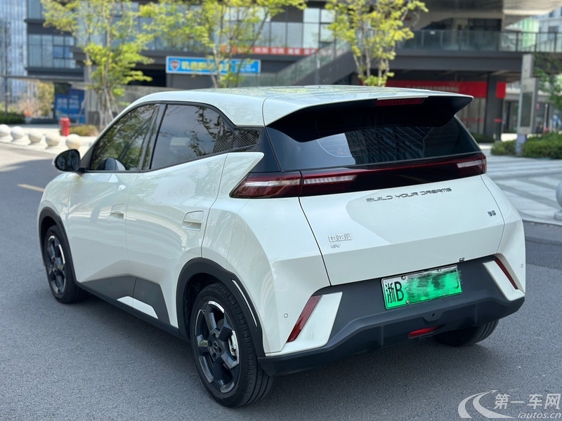 比亚迪海鸥 荣耀版 2024款 0.0T 自动 405km飞翔版 