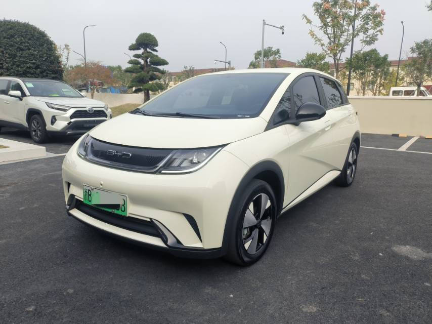 比亚迪海豚 2023款 0.0T 自动 自由版价格0万