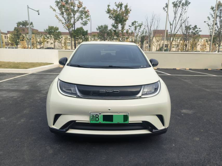 比亚迪海豚 2023款 0.0T 自动 自由版价格0万 