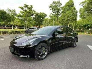 MODEL 3 长续航版 