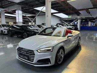 奥迪A5敞篷 40TFSI 2.0T 自动 时尚型 