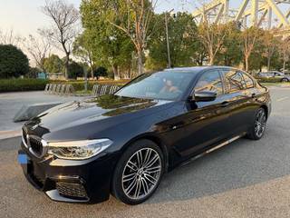宝马5系 530Li 2.0T 自动 尊享型M运动套装 
