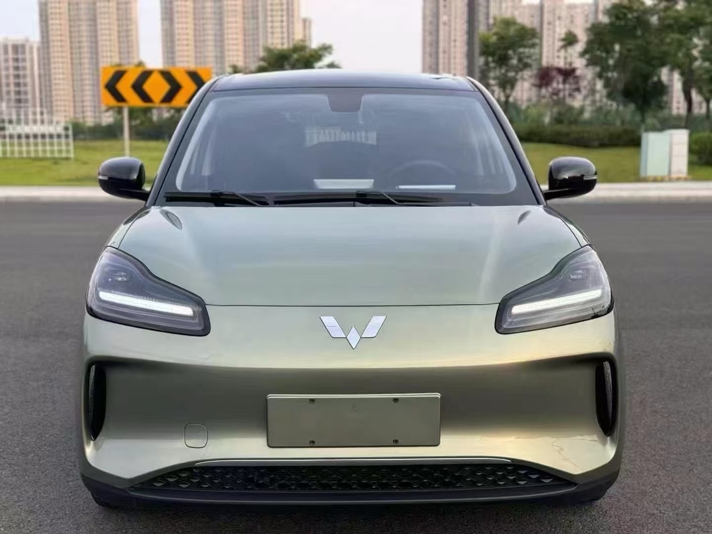 五菱缤果PLUS 2024款 0.0T 自动 510km旗舰版价格0万 