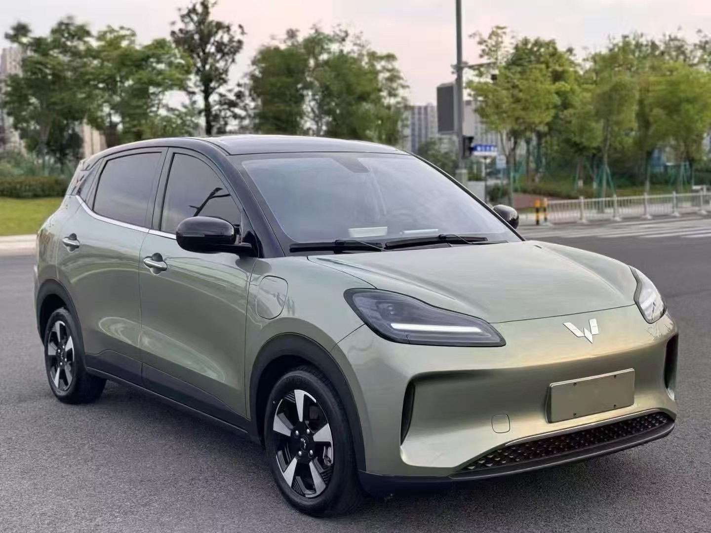五菱缤果PLUS 2024款 0.0T 自动 510km旗舰版价格0万 