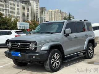 坦克坦克300 城市版 2.0T 自动 很有型 